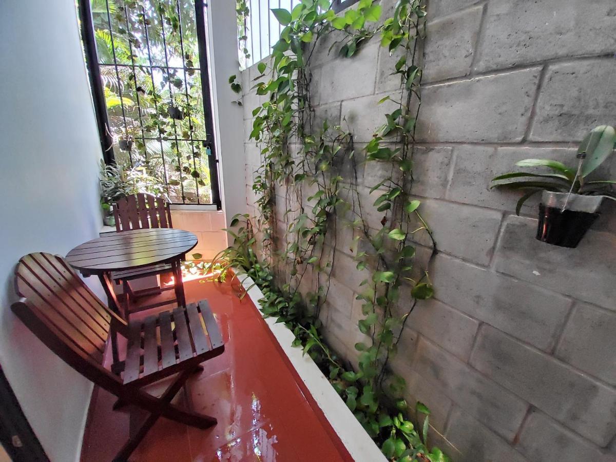 Bean Grass Homestay Hội An Extérieur photo