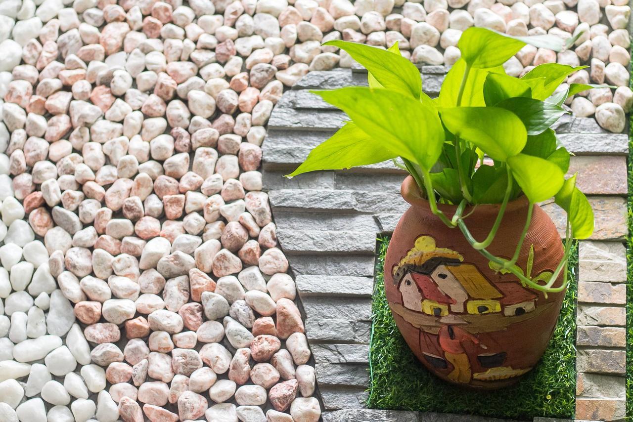 Bean Grass Homestay Hội An Extérieur photo